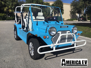 affordable golf cart rental, golf cart rent highland beach, cart rental highland beach