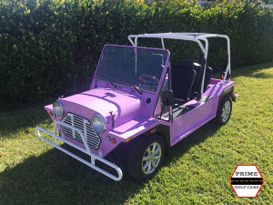 affordable golf cart rental, golf cart rent highland beach, cart rental highland beach