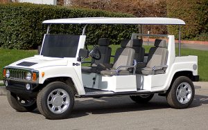 affordable golf cart rental, golf cart rent highland beach, cart rental highland beach